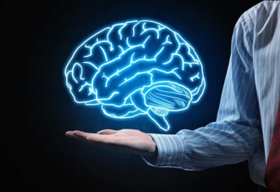 Biological age of the brain emerges as a powerful predictor of longevity