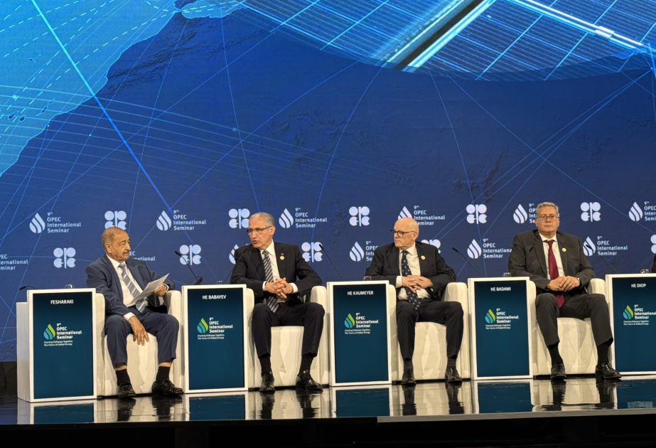 Presidente de la COP29: "La sostenibilidad y la diversificación son prioridades clave en la política energética de Azerbaiyán"