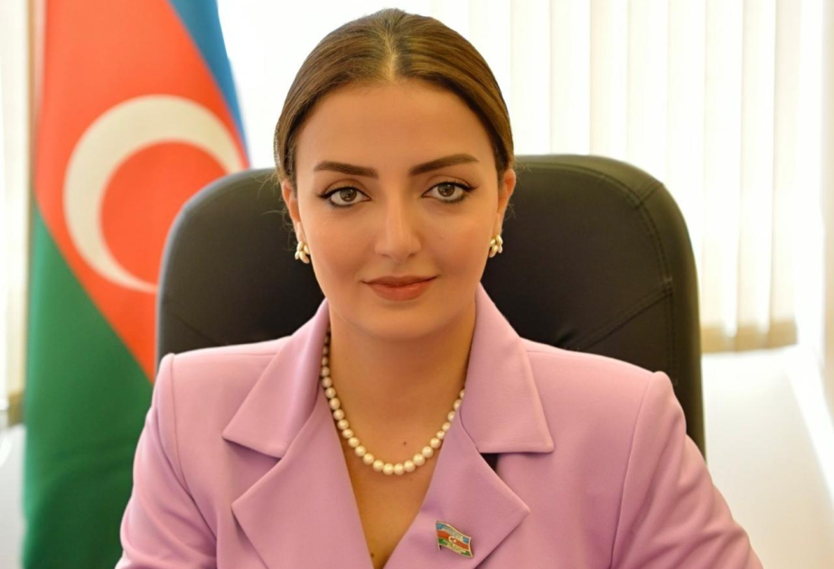 Deputat: Azərbaycan və Ermənistan yekun sülhə bir qədər də yaxınlaşdı