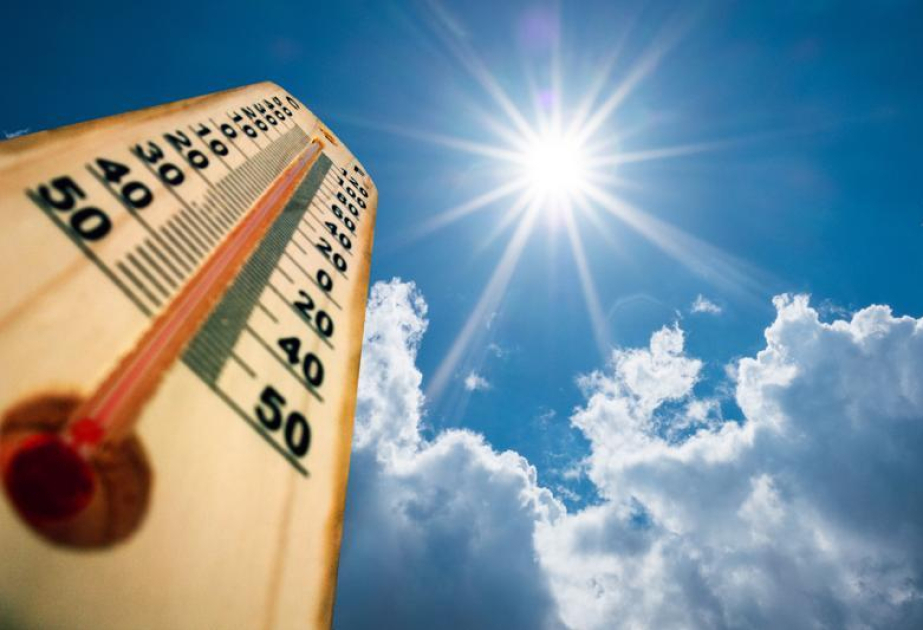 Death toll of European heatwave 3 times higher because of climate change, study shows