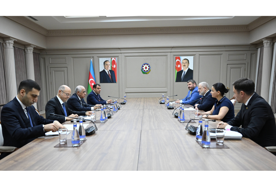 El Primer Ministro de Azerbaiyán se reúne con el Ministro de Energía de Ucrania