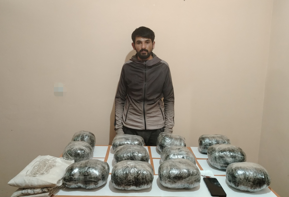 Предотвращен ввоз в страну большого количества наркотических средств
