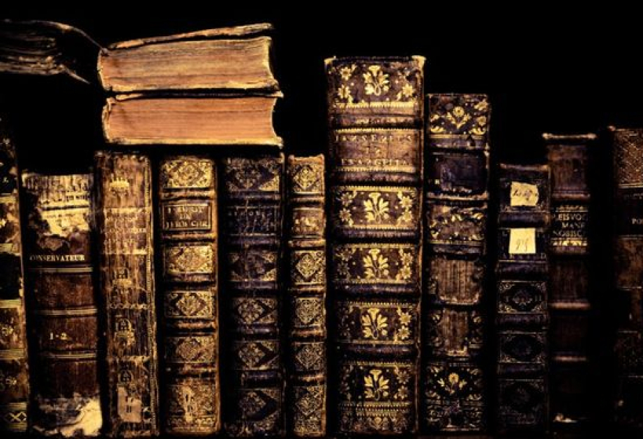 Старейшая библиотека Венгрии борется за спасение 100 тысяч книг от нашествия жуков