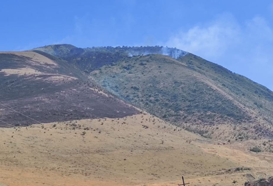 Siyəzəndə dağlıq ərazidə yanğın başlayıb
