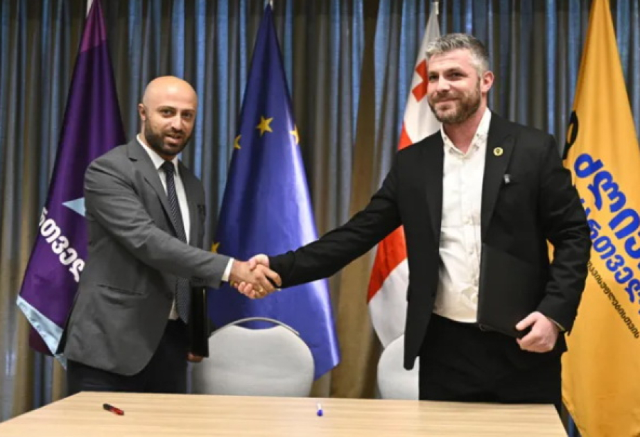 Gürcüstanın daha bir müxalifət partiyası seçkilərdə iştirak edəcək