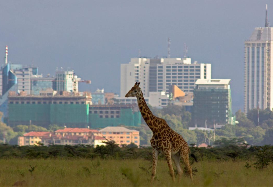 Nairobi abrite la 20ème Conférence ministérielle africaine sur l’environnement