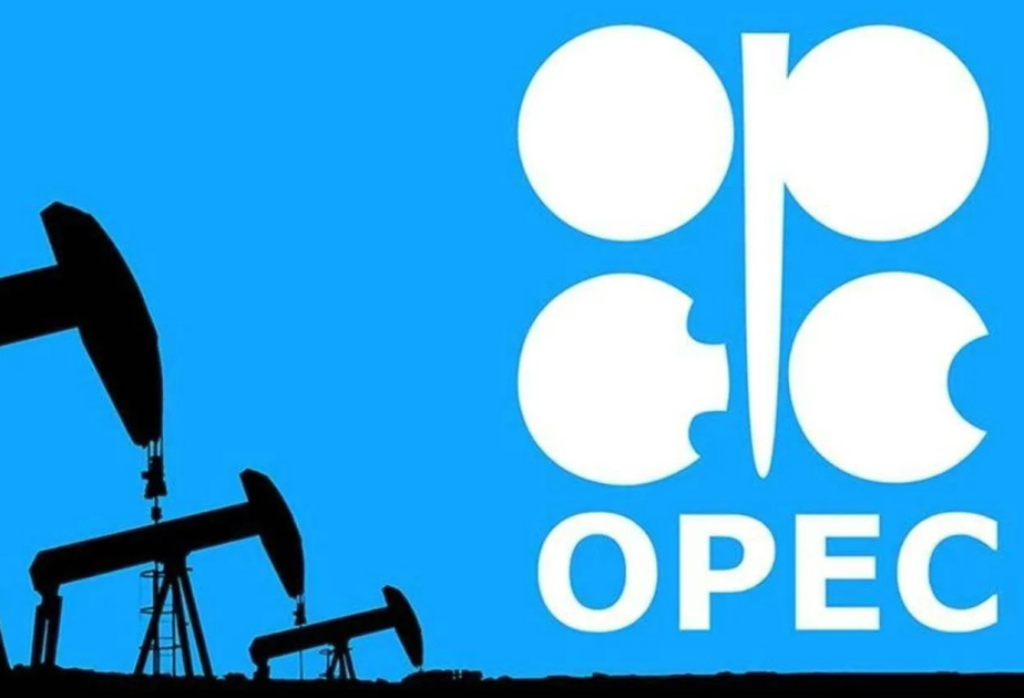 Global oil demand forecasts unchanged for 2025, 2026: OPEC