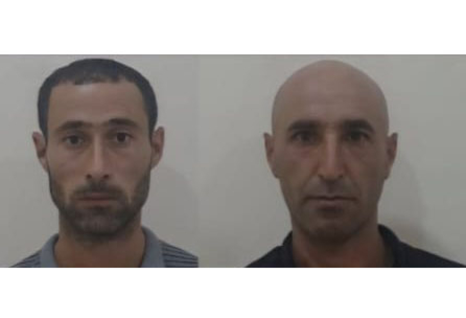 Ağcabədidə çətənə bitkilərinin kultivasiyasını təşkil edən 2 nəfər saxlanılıb