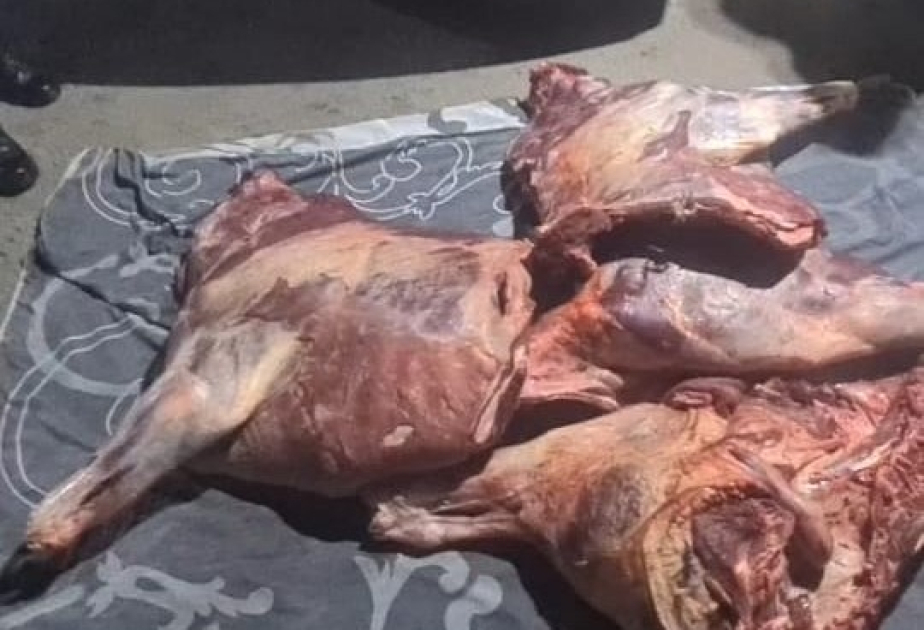 İstehlaka yararsız 130 kiloqram ət aşkarlanıb