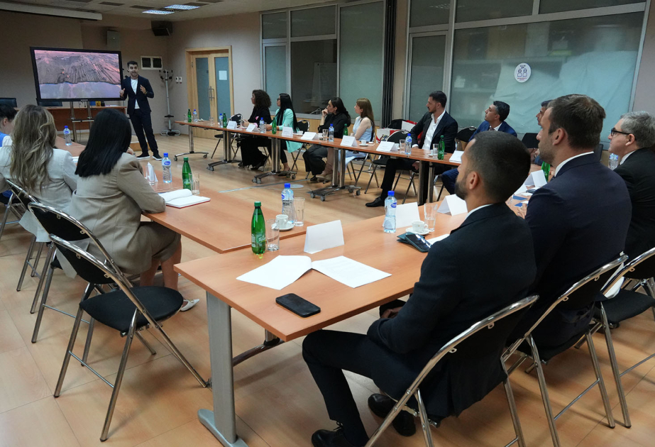 Azerbaijan, Montenegro explore enhancing trade and investment cooperation