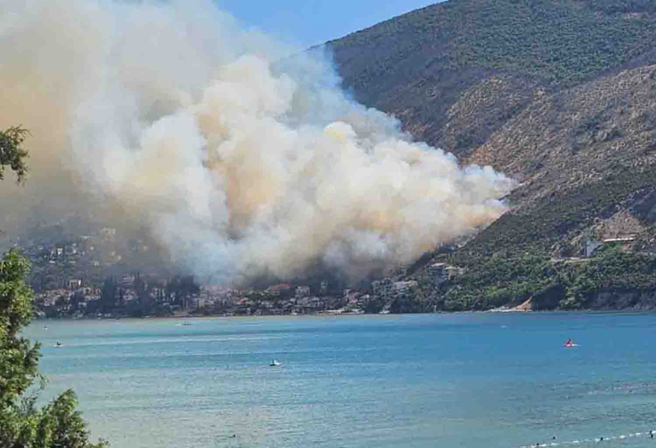 Monteneqroda meşə yanğını başlayıb