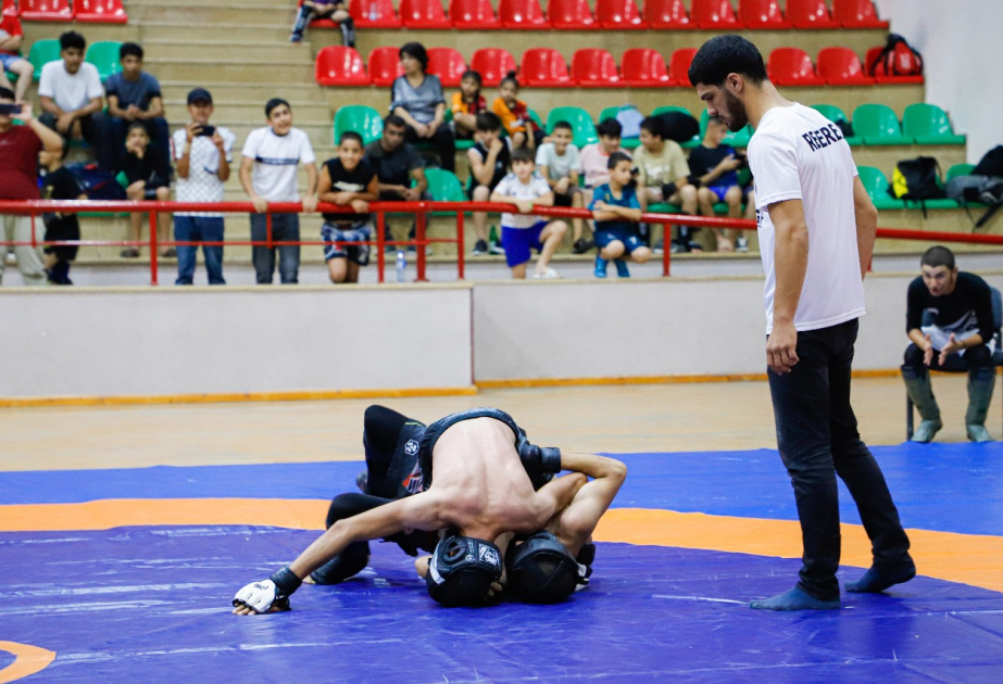 Naxçıvanda MMA üzrə açıq birincilik keçirilib