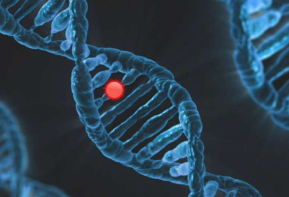CRISPR uncovers gene that supercharges vitamin D—and stops tumors in their tracks