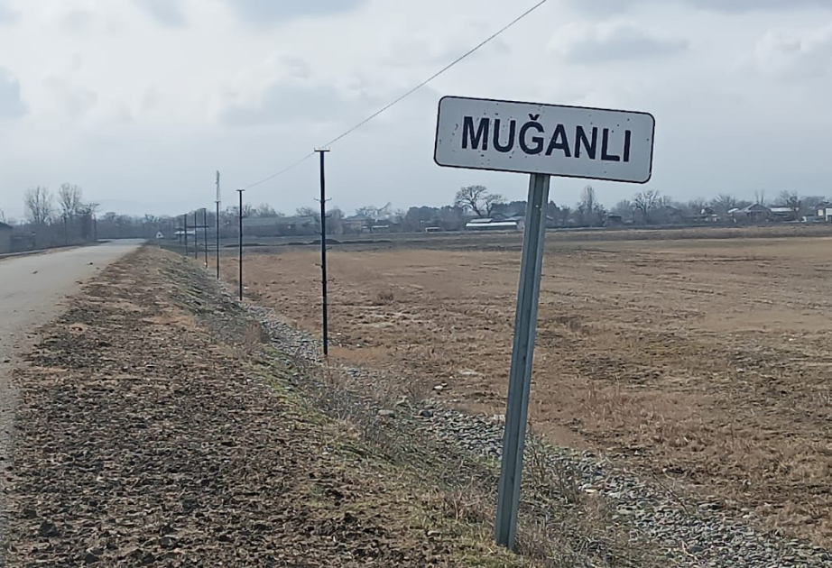 Ağstafada kran aşıb, xəsarət alanlar var