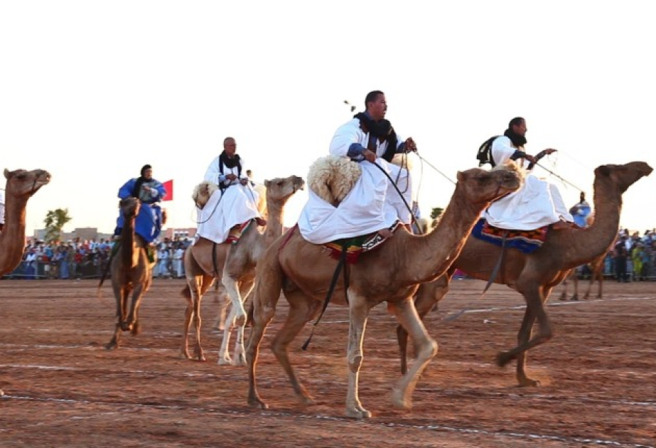 مهرجان أسبوع الجمل بكلميم: حدث بعمقه الإفريقي وقواسمه المشتركة بالقارة السمراء