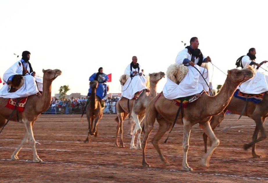 Semaine du Festival - chameau à Guelmim : un événement d'une profondeur africaine