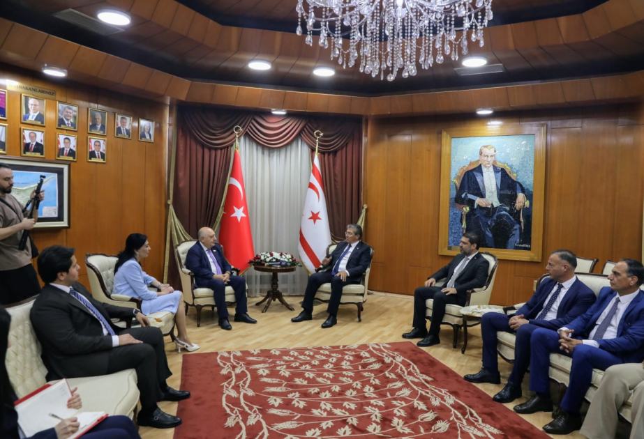 New Azerbaijan Party delegation visits Northern Cyprus