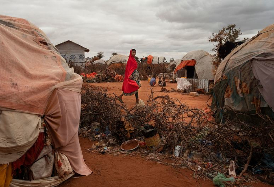 La sécheresse creuse la faim et ébranle les économies