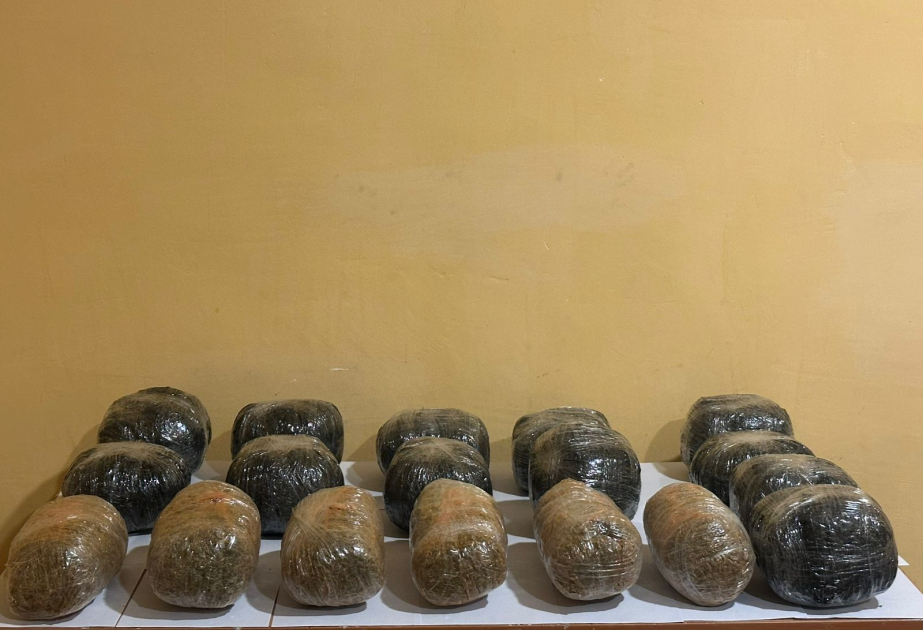 Külli miqdarda narkotik vasitənin ölkə ərazisinə keçirilməsinin qarşısı alınıb