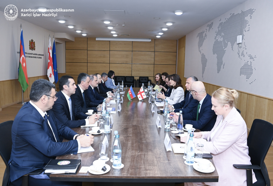Azerbaijan, Georgia reaffirm strategic partnership in Tbilisi talks
