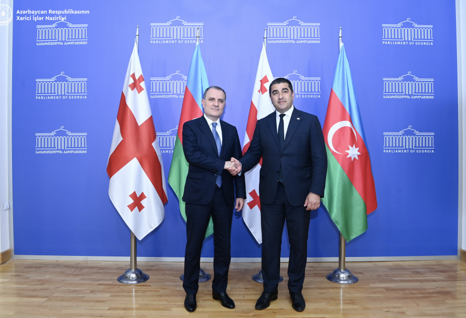 Azerbaijan’s Foreign Minister meets with Speaker of Georgian Parliament