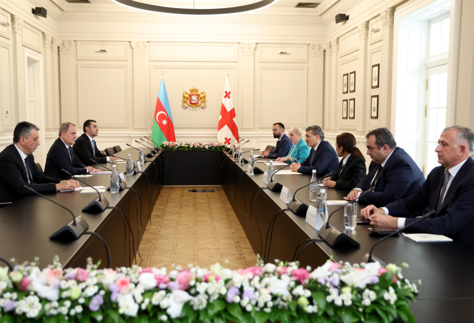Ministro de Asuntos Exteriores de Azerbaiyán se reúne con el Presidente de Georgia
