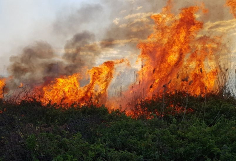 Continúan las labores de extinción de incendios en las regiones de Aghdam y Aghdara