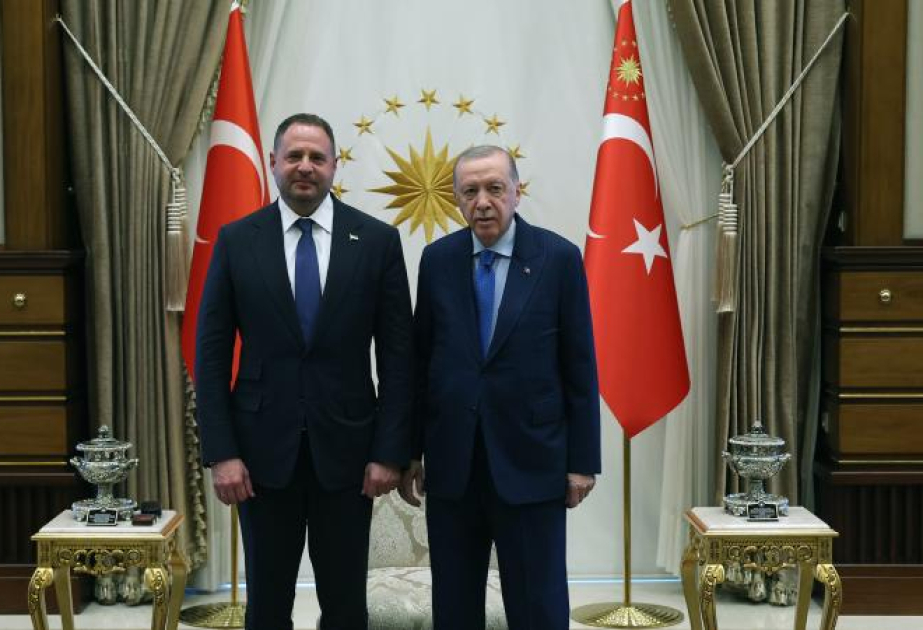 Реджеп Тайип Эрдоган принял главу Офиса Президента Украины