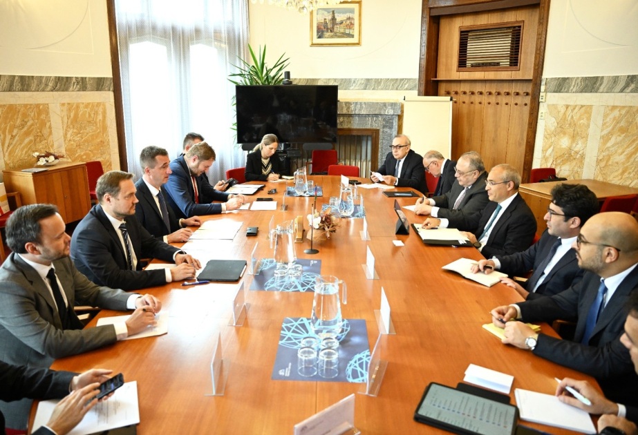 Azerbaijan’s Economy Minister holds meetings on economic cooperation in Czech Republic