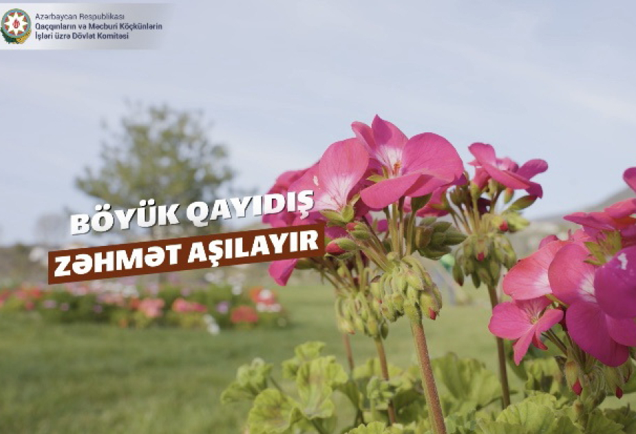 Böyük Qayıdış zəhmət aşılayır