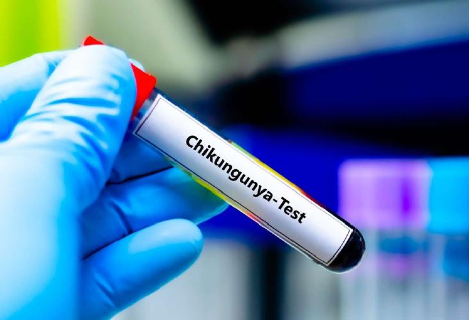 WHO warnt vor möglicher Chikungunya-Epidemie