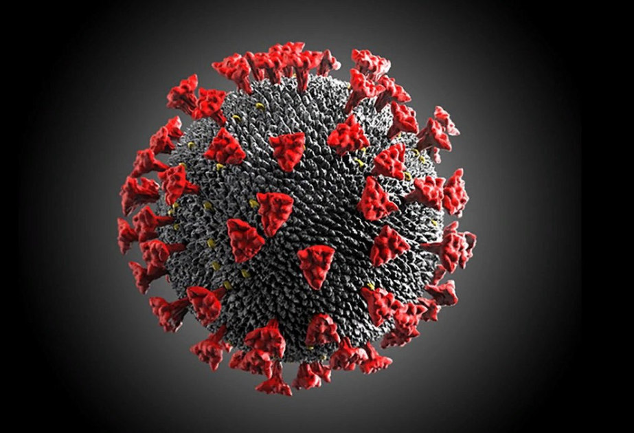 COVID-19 pandemic may have aged our brains, new study suggests