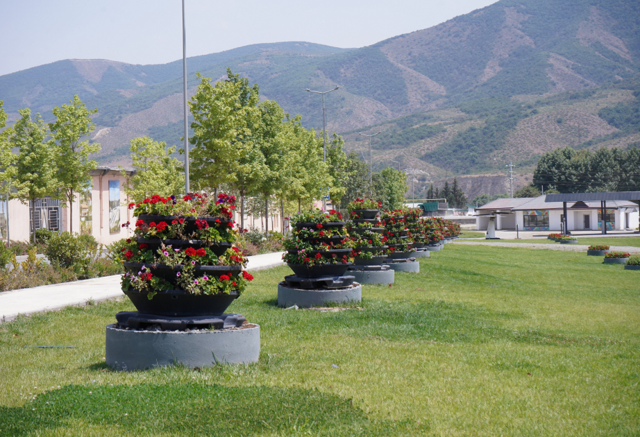 Xocalıdan çiçəkli salamlar - FOTO