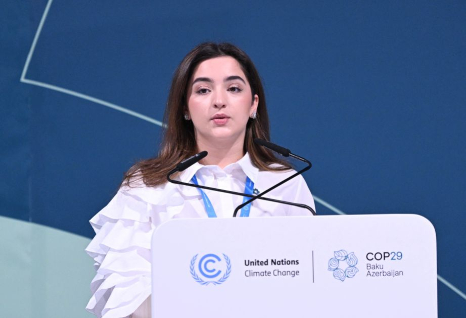 Leyla Hasanova: In the next round of climate plans, young people want to see a new vision for our future