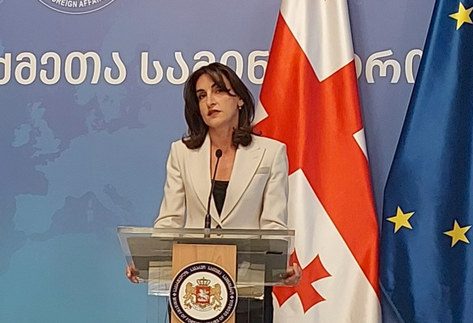 马卡·博乔里什维利：格鲁吉亚和阿塞拜疆之间的政治稳定有利于维护共同利益