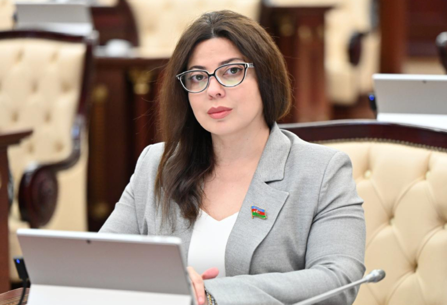 Предвзятая резолюция Франции, или Азербайджан не поддается давлению в мирном процессе  КОММЕНТАРИЙ