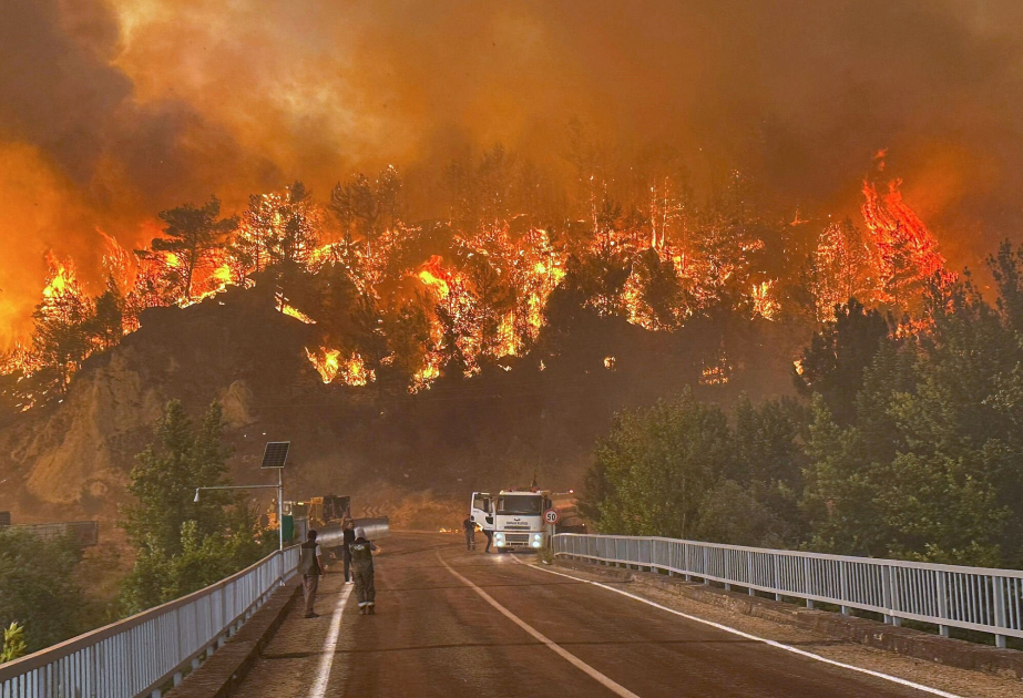 Waldbrände haben Griechenland, Frankreich, Italien fest im Griff