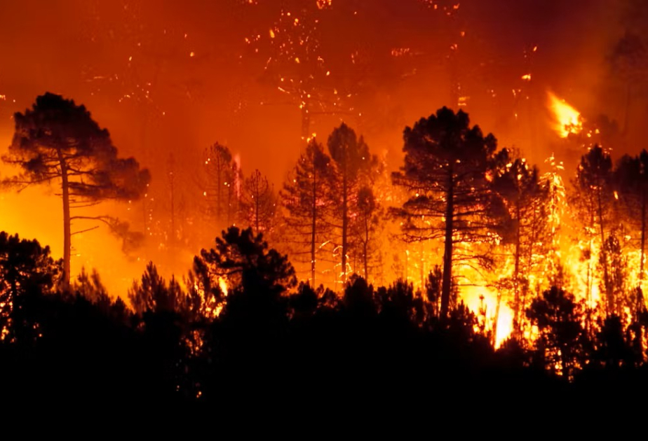 Calor extremo en Turkiye e incendios forestales en Europa
