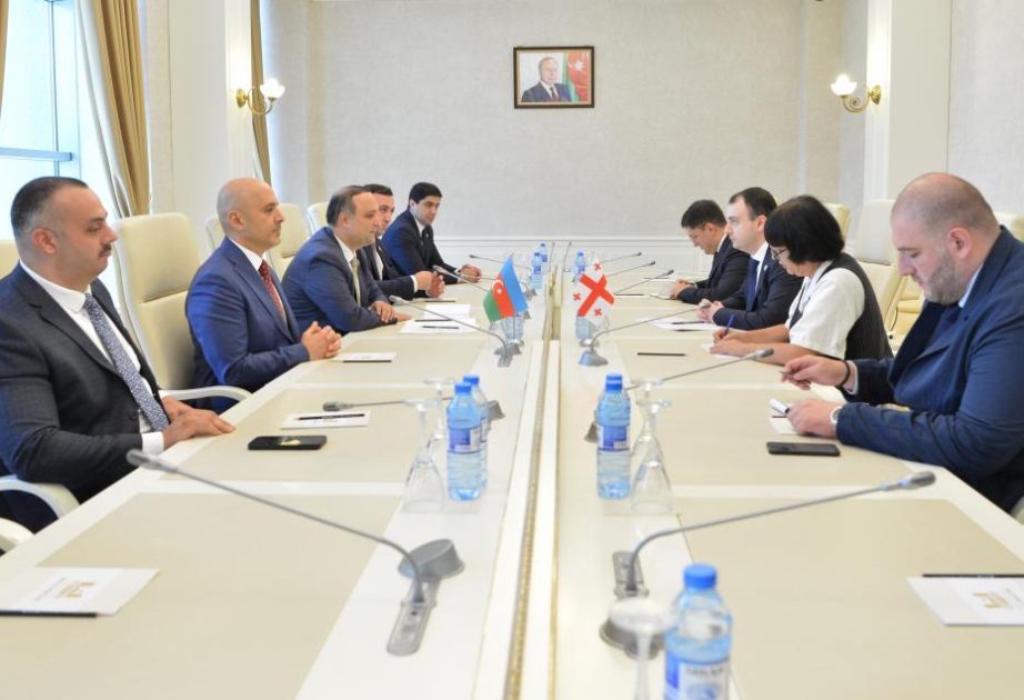 En Milli Majlis tuvo lugar una reunión con parlamentarios georgianos