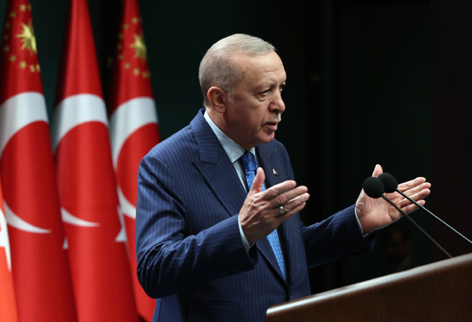 Prezident Ərdoğan: Türkiyədə meşə yanğınlarının 96 faizi insan amilindən baş verib