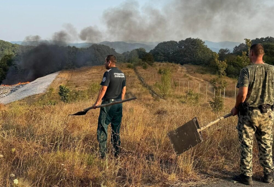 Total of 167 fires extinguished in Bulgaria over past 24 hours, one person injured