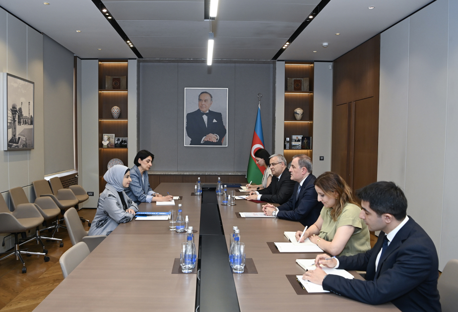 L’Azerbaïdjan et l’UNICEF discutent des questions de coopération