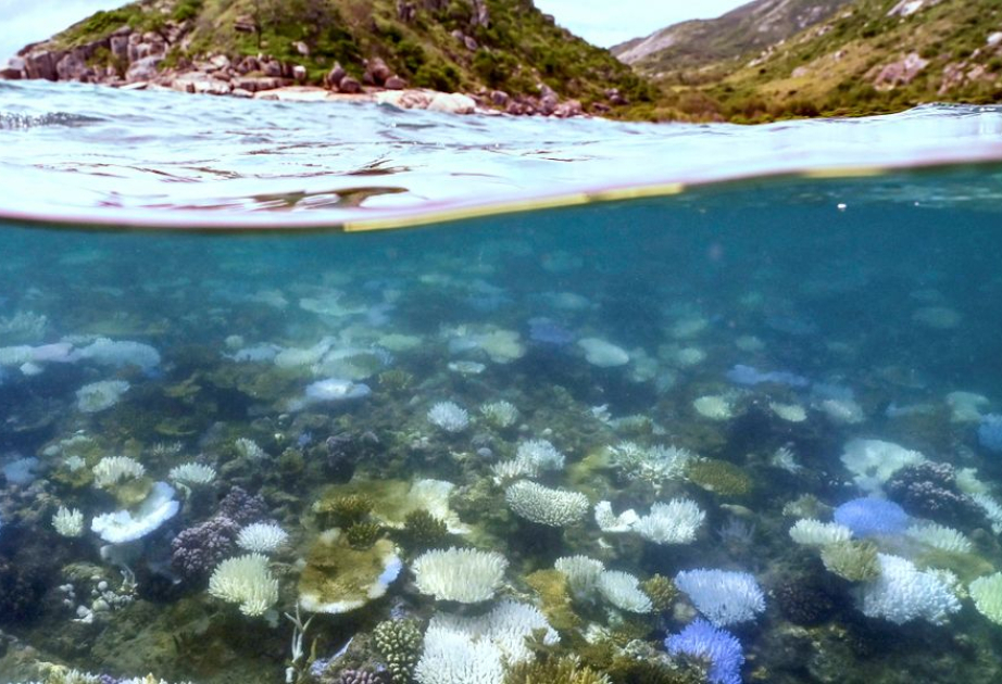 Uno-Klimabeauftragter ermahnt Australien