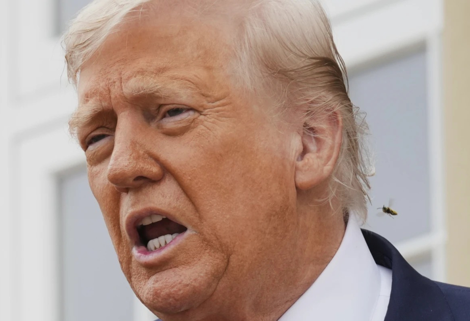 Трамп введет пошлины против Индии за сотрудничество с Россией