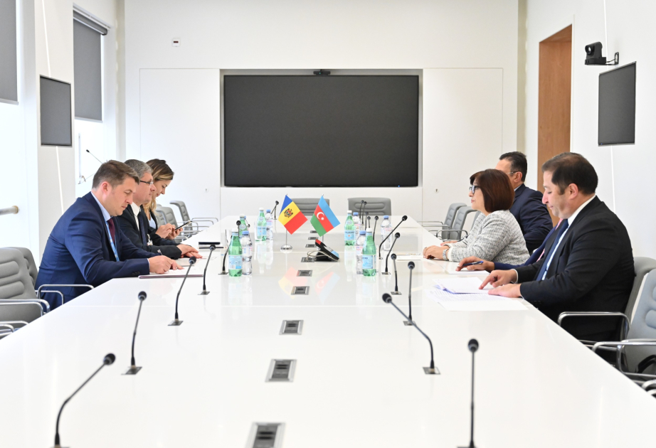 Председатель Милли Меджлиса провела в Женеве встречи со спикерами парламентов ряда стран