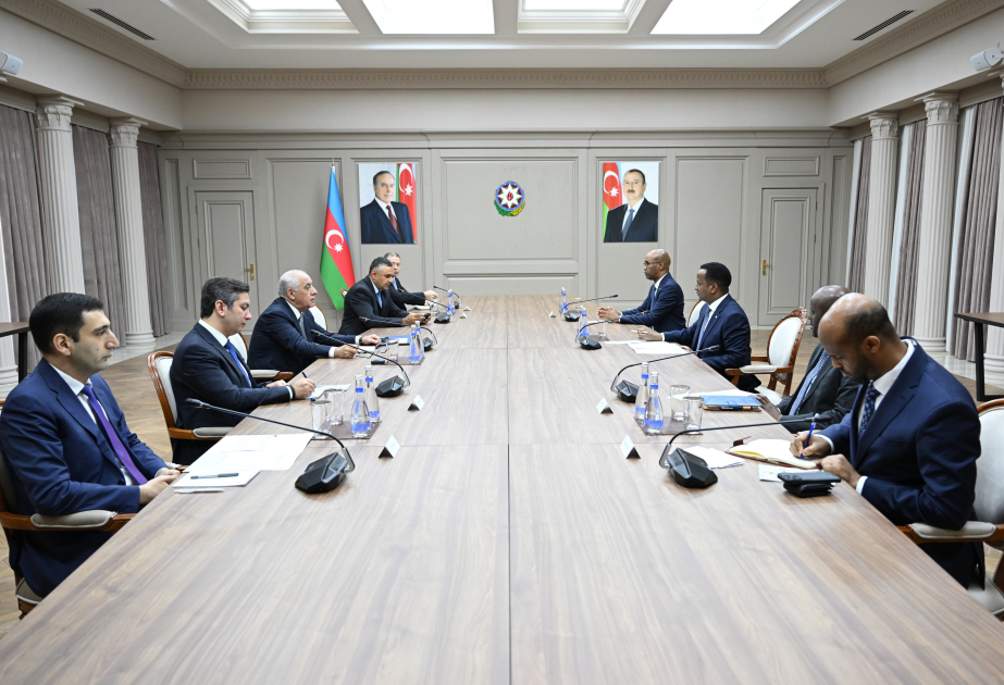 讨论阿塞拜疆和索马里各领域合作的可能性