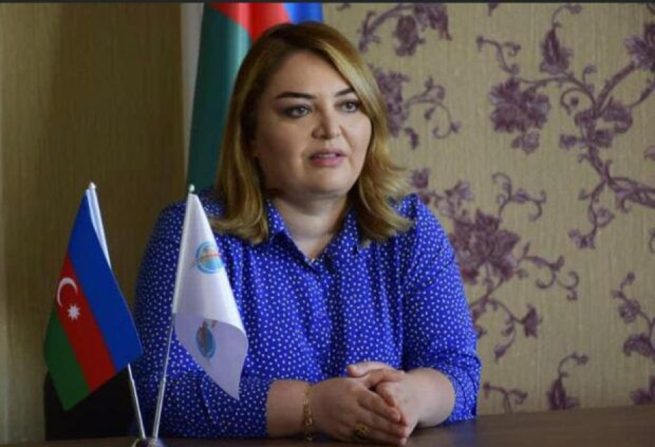 Azərbaycanın beynəlxalq nüfuzuna qarşı kampaniyalar planlı və məqsədyönlü xarakter daşıyır -  RƏY