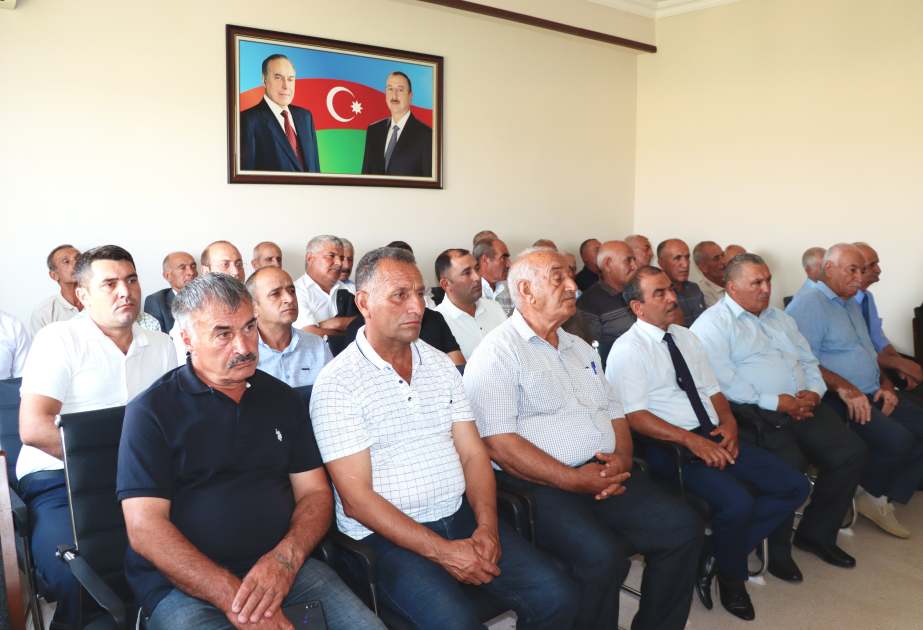 Naxçıvanda 99 milyon manata yaxın dəyərdə heyvandarlıq məhsulu istehsal olunub