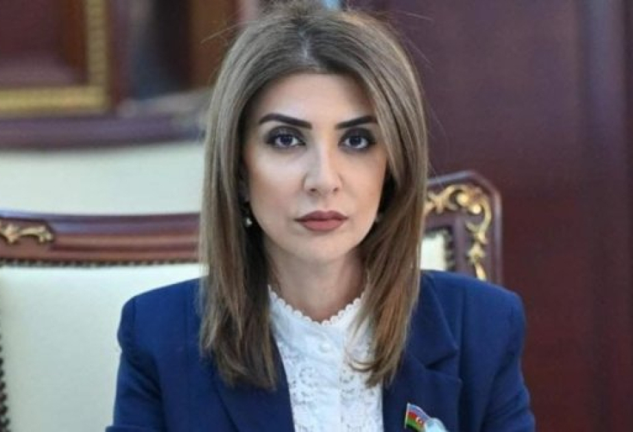 Suriyaya qaz ixracı Azərbaycanın enerji siyasətində yeni səhifənin başlanğıcıdır -  ŞƏRH