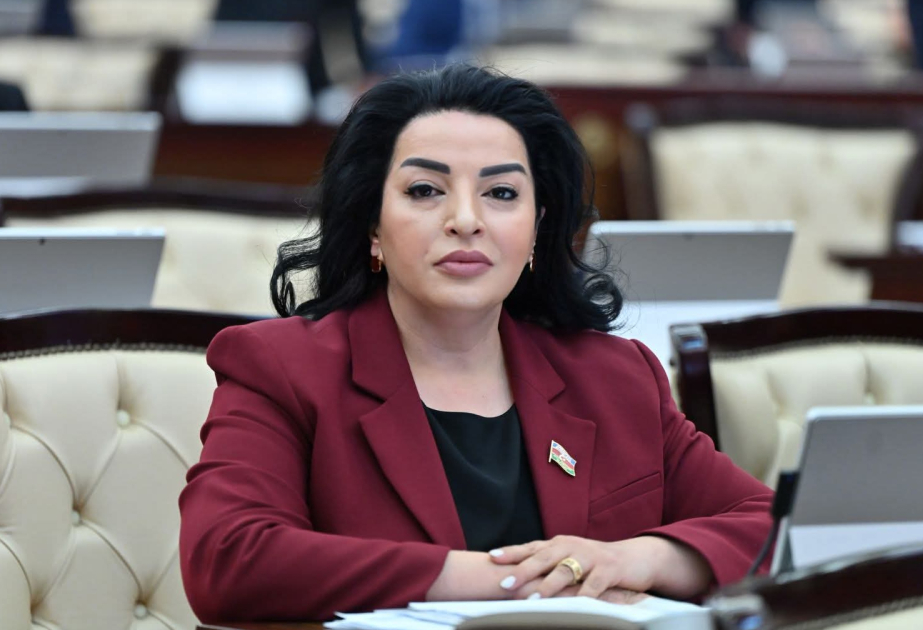 Azərbaycan qazının Suriyaya nəqli dağıdılmış bir dövlətin ayağa qalxmasına uzadılmış qardaş əlidir  ŞƏRH